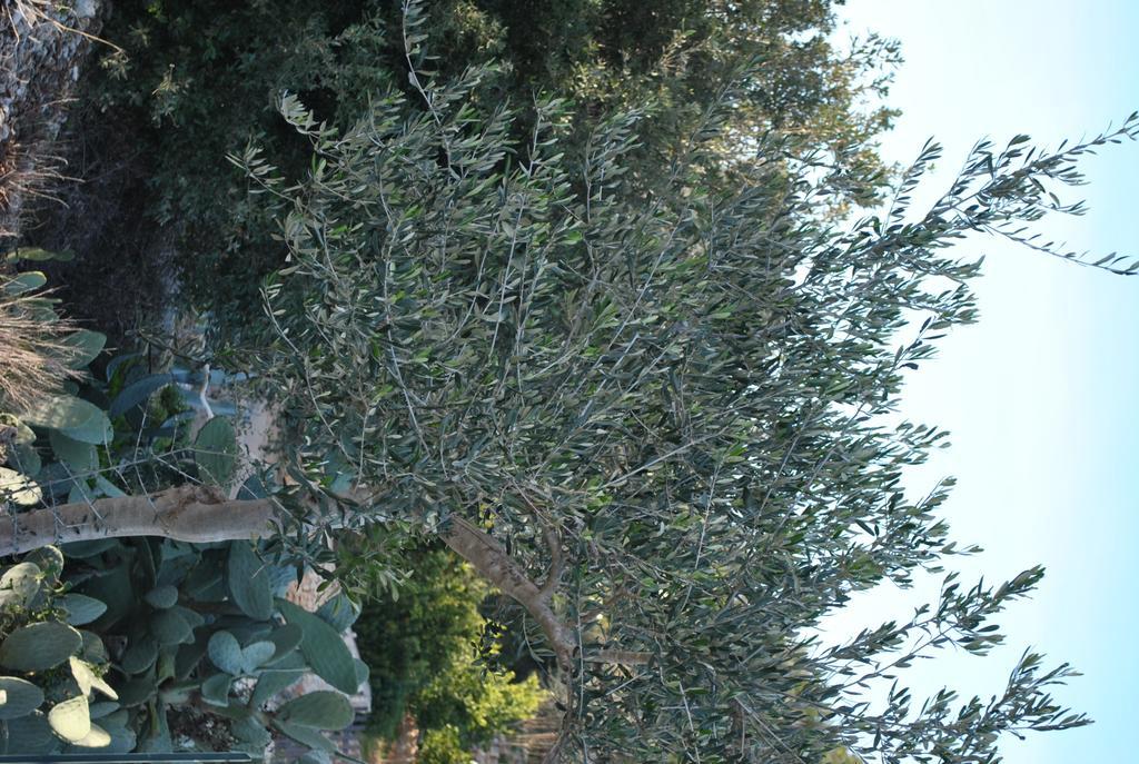 Le Dimore Del Sarto Polignano A Mare Luaran gambar