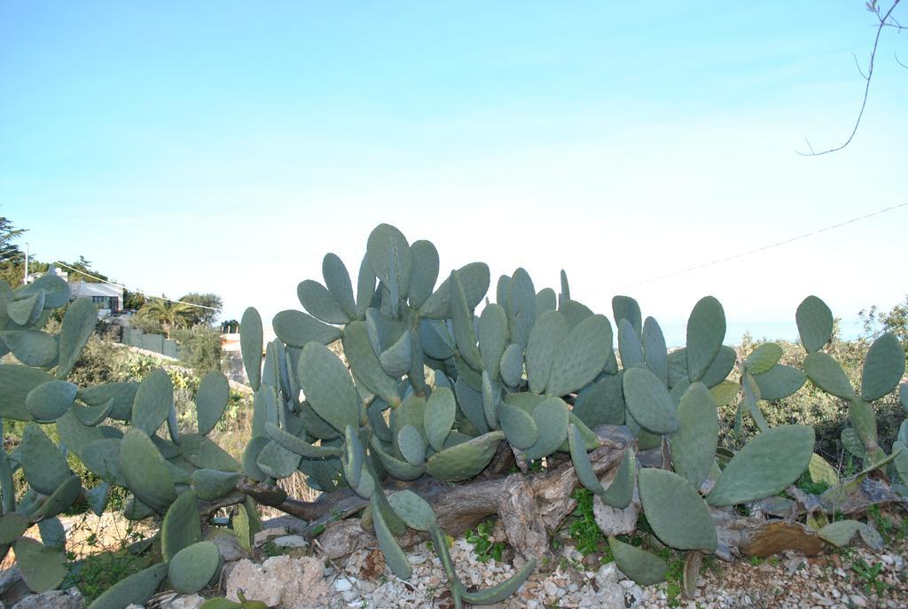 Le Dimore Del Sarto Polignano A Mare Luaran gambar