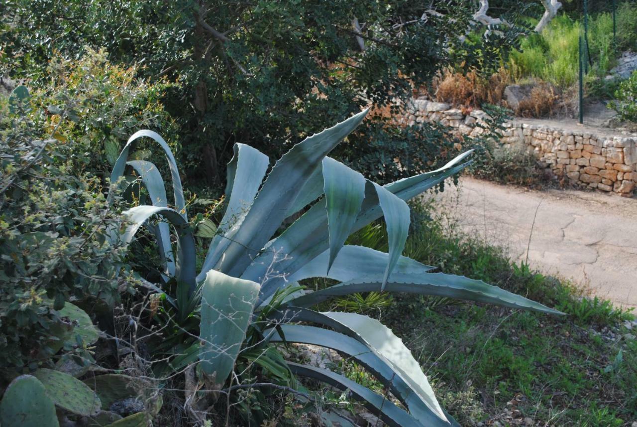 Le Dimore Del Sarto Polignano A Mare Luaran gambar