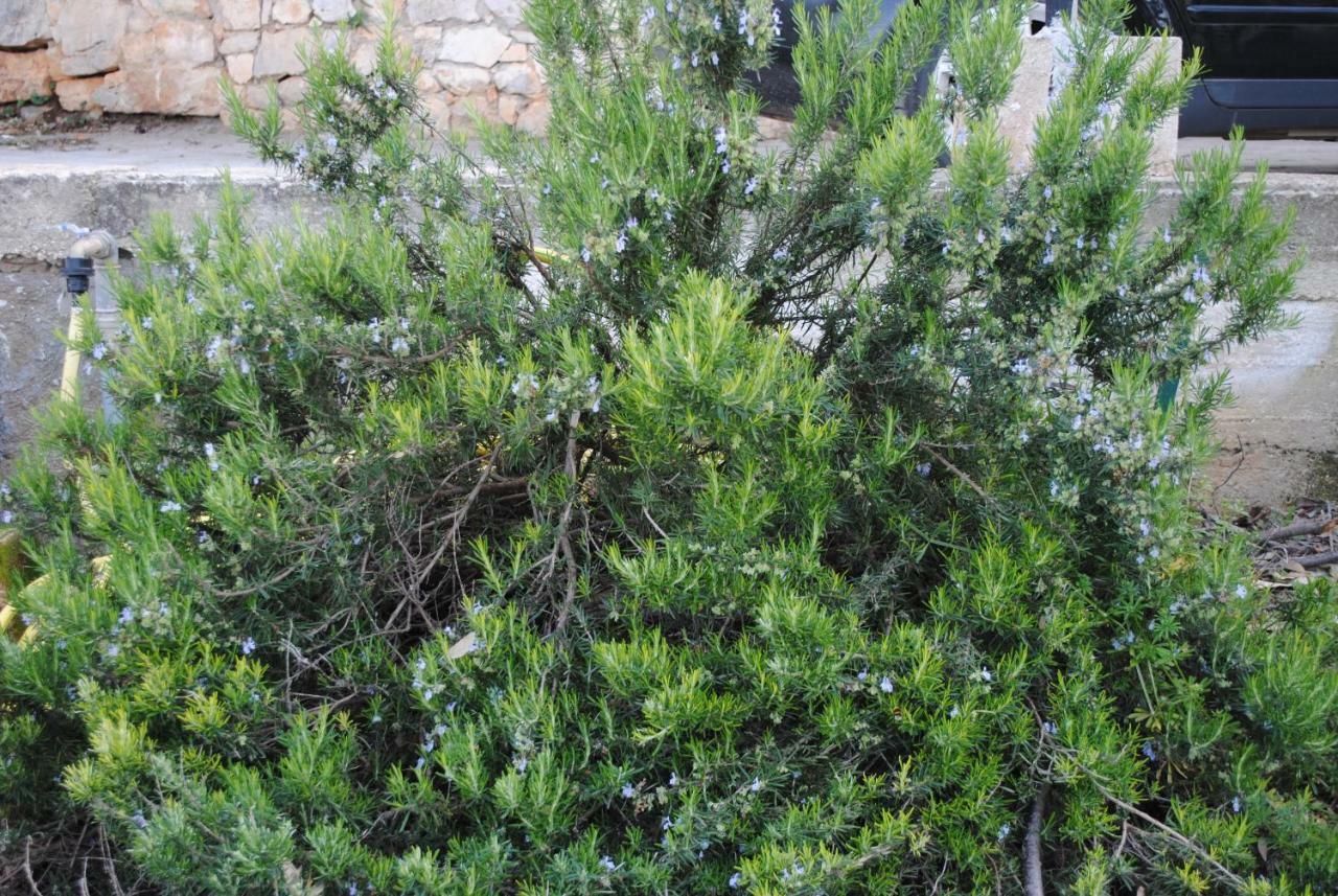 Le Dimore Del Sarto Polignano A Mare Luaran gambar